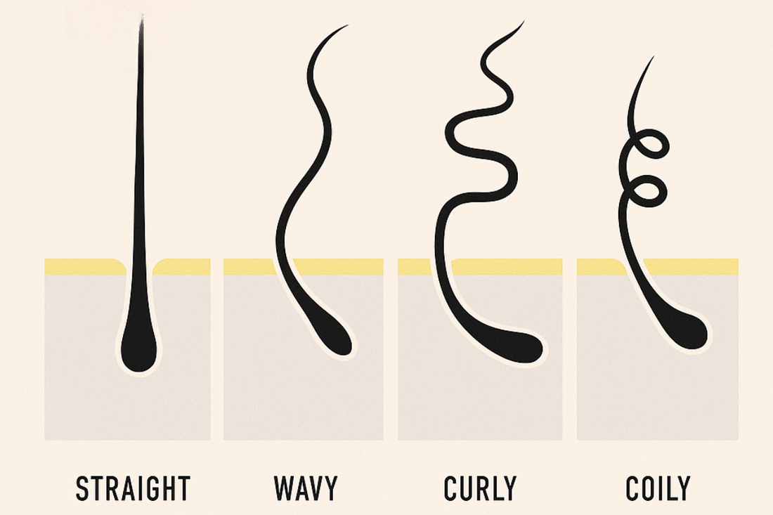 CURLY BY DESIGN: How your hair follicles shape your curls
